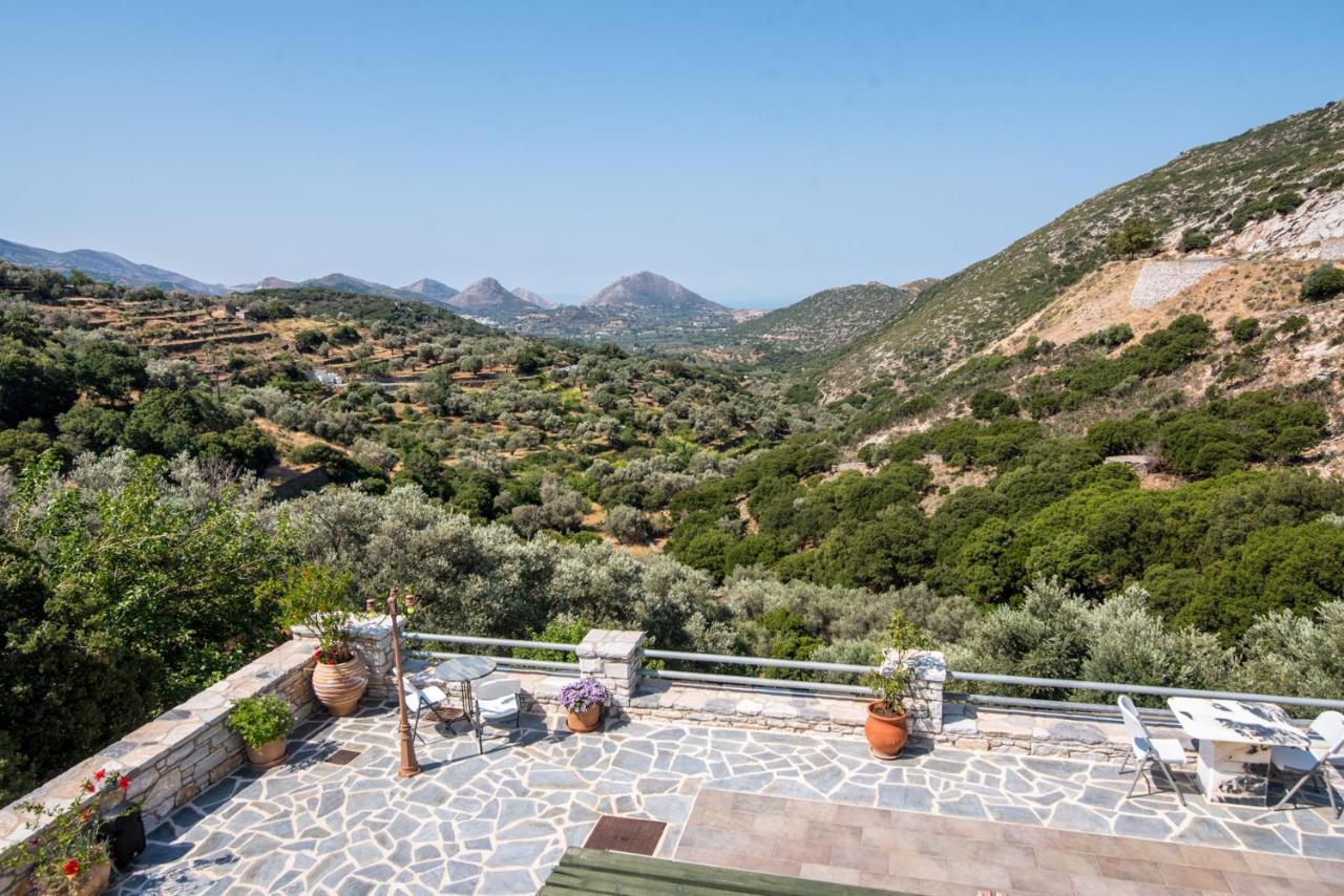 Elaiolithos - Luxury Villa Suites - Adults Only Halkío Kültér fotó