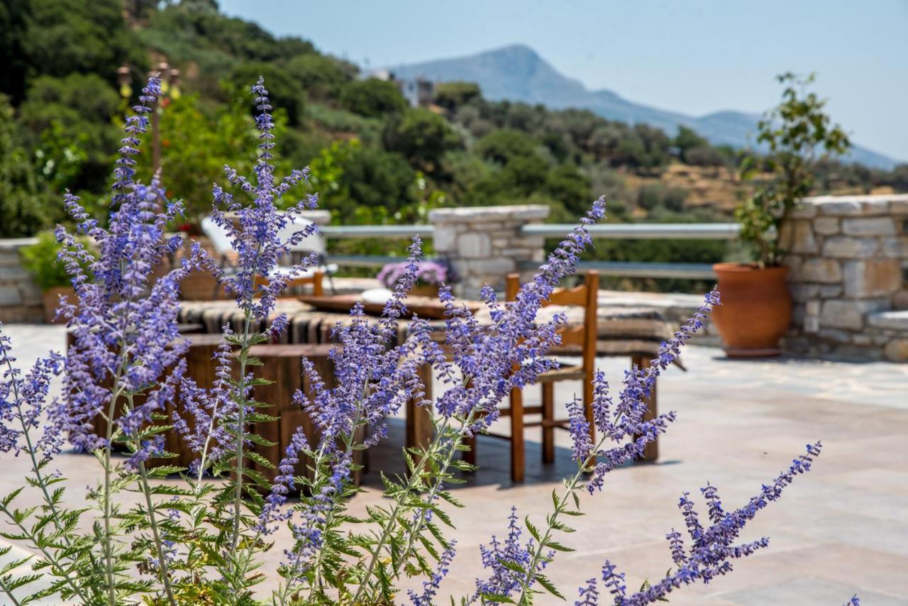 Elaiolithos - Luxury Villa Suites - Adults Only Halkío Kültér fotó